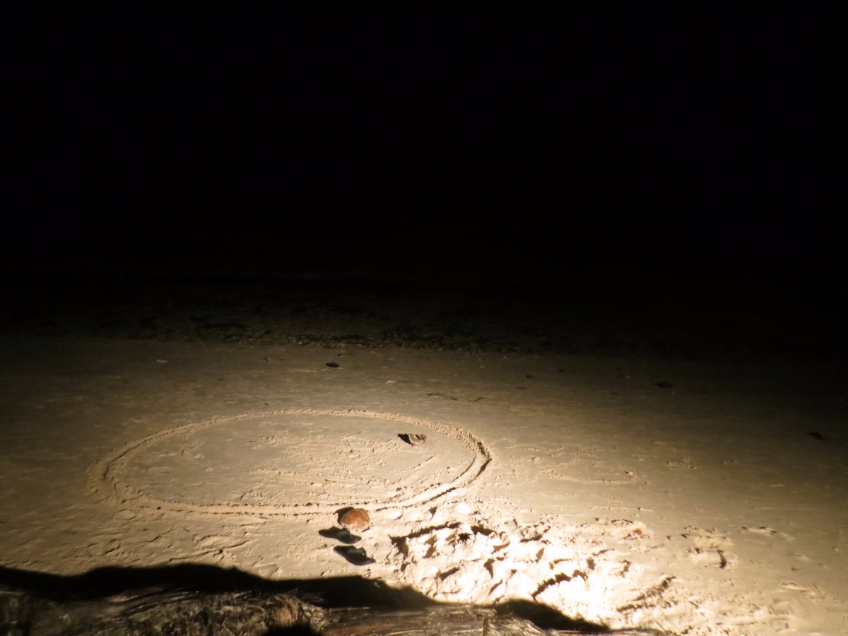 sand