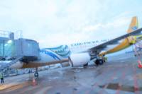 flight