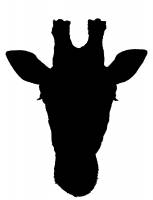 vector giraffe