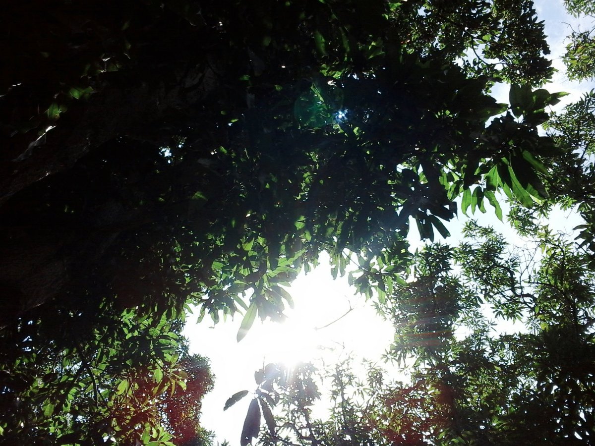 Sunny day