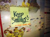 view from the window car