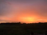 sunset, gradient sky, perfect sky, Gods creation