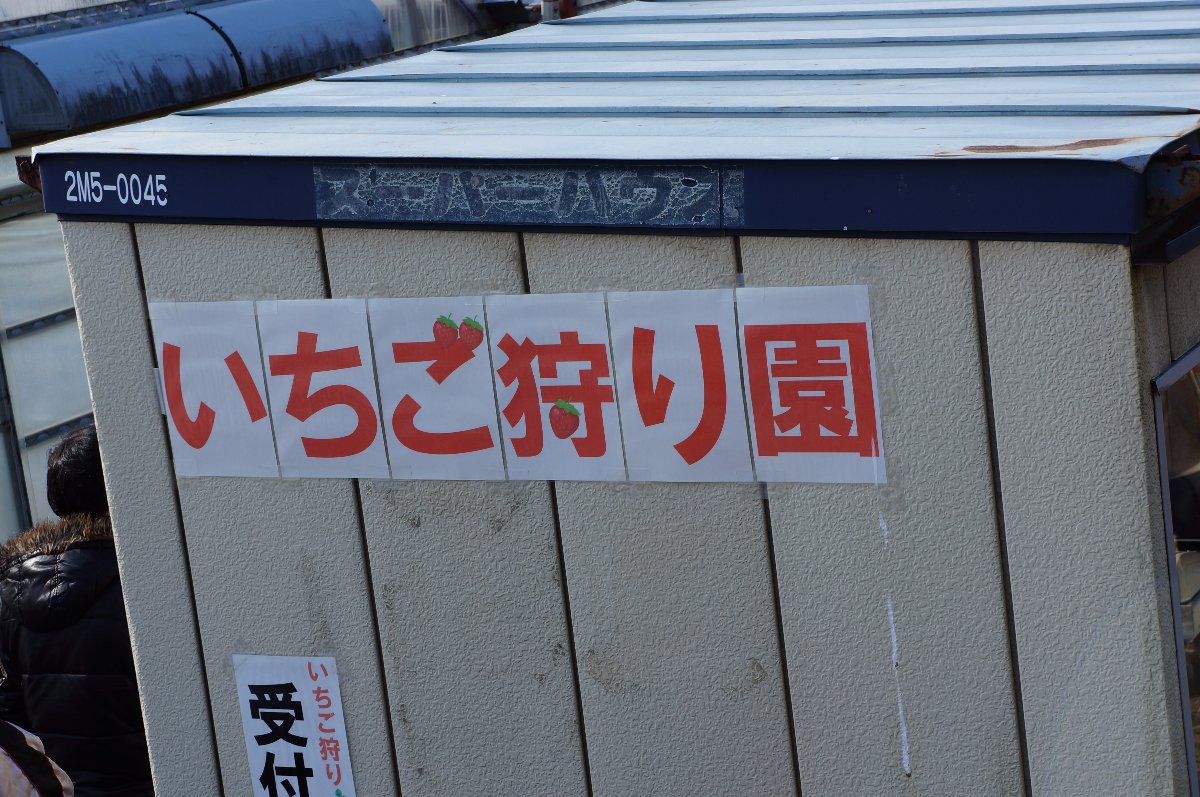 Barely need a translator with this Japanese vandal. Matsuka Strawberry farmhouse. My brother adventure in Japan. 