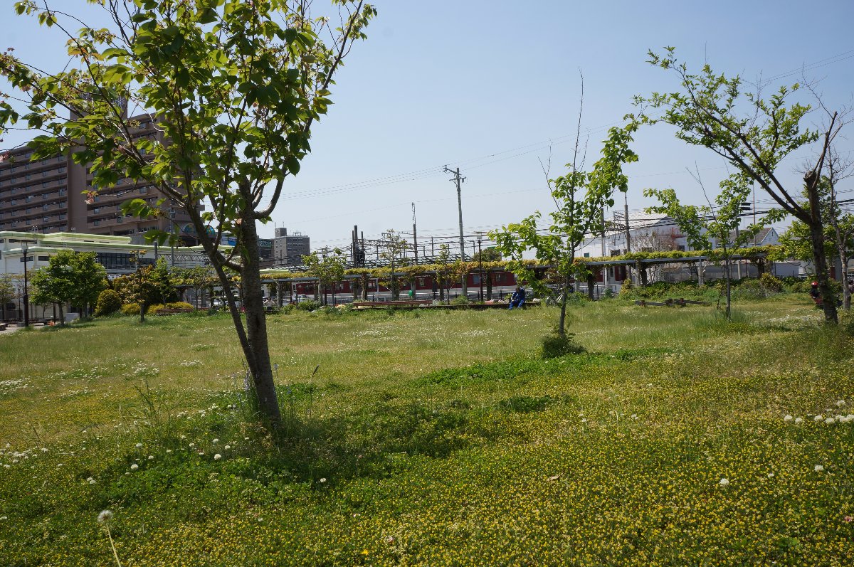 @Hisai Park . . Sunny day it is. 