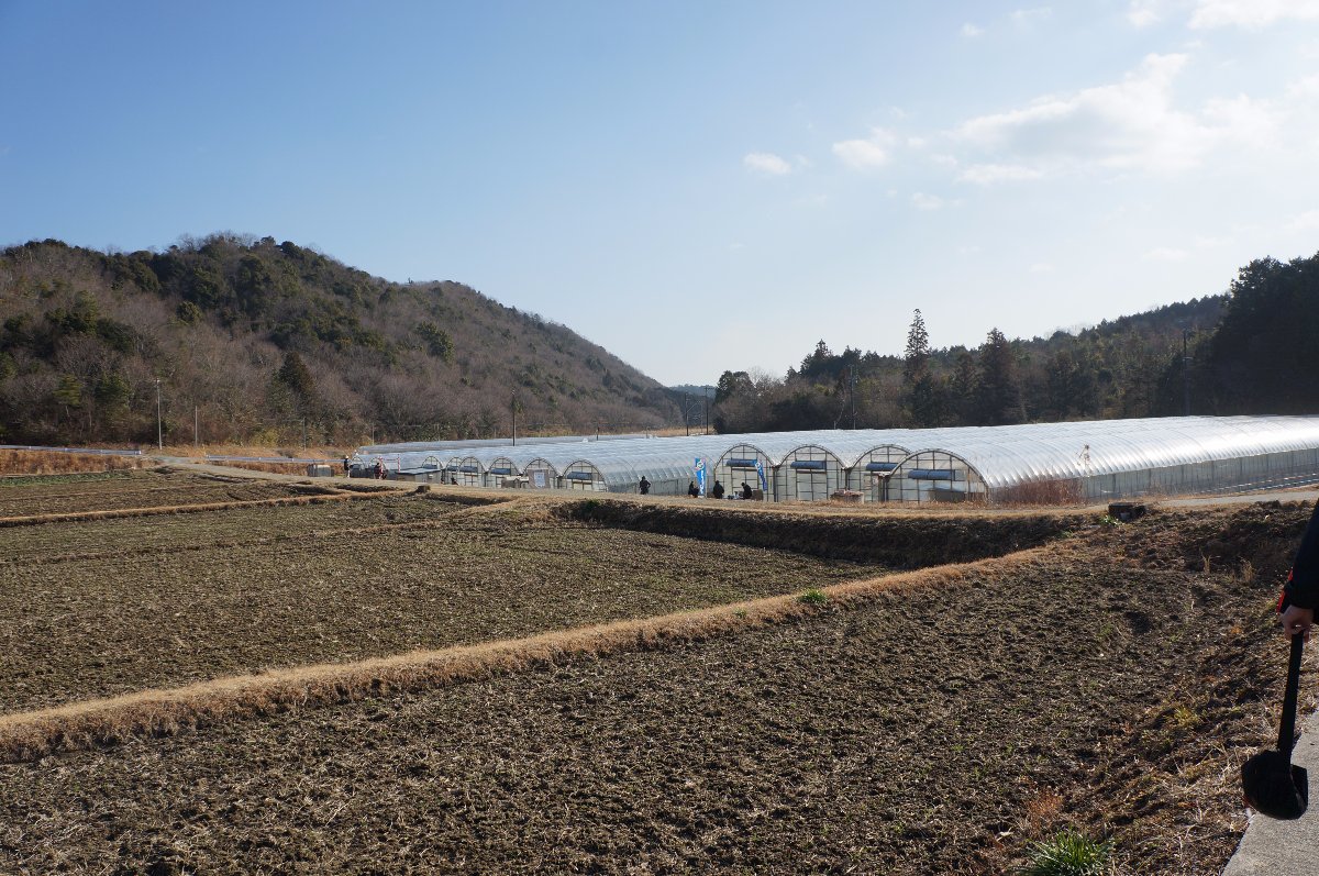 To strawberry farm in Matsuka. My brother adventure in Japan. 