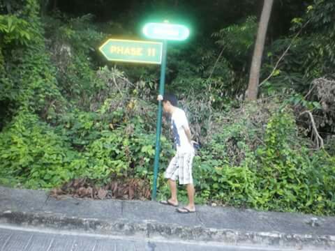 sightseeing