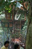 Tree House 3