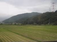 A closer picture. But yet still thinking if what plant will be harvest there. My brother adventure. When in Japan. 