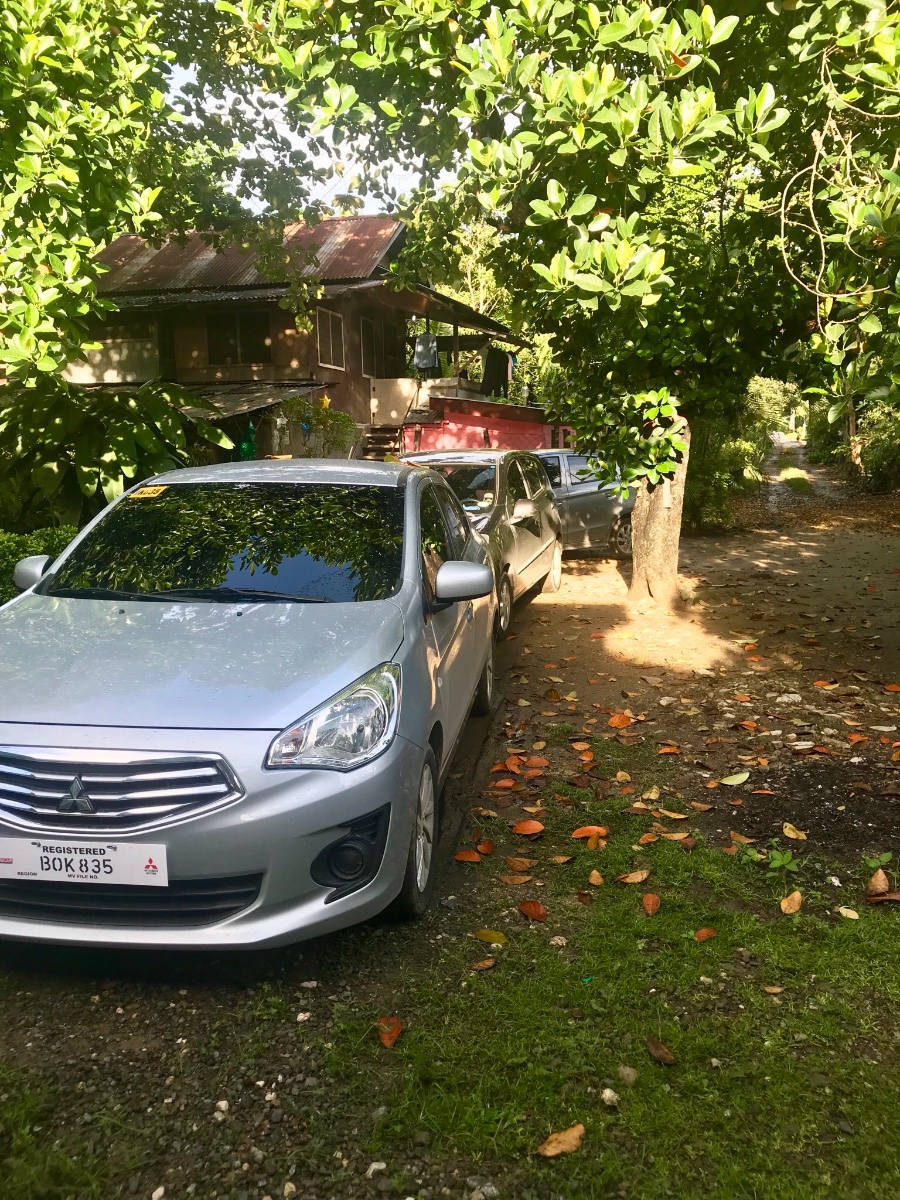 vehicleunderthetree