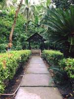 Pathway