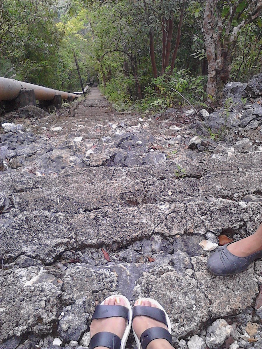100 steps