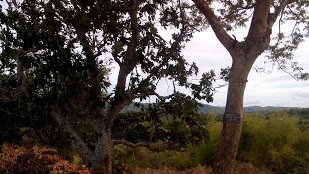 BY THE ROAD