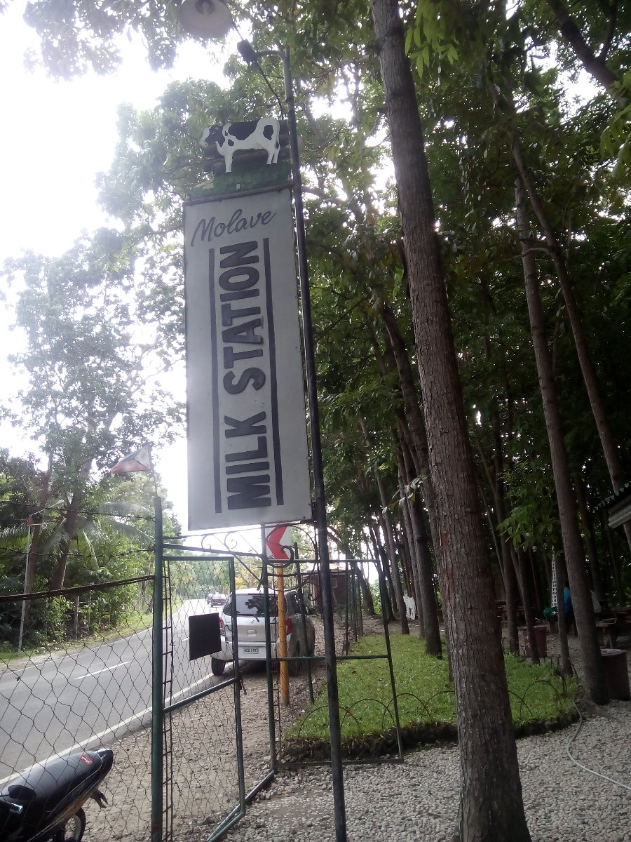 barili milk station