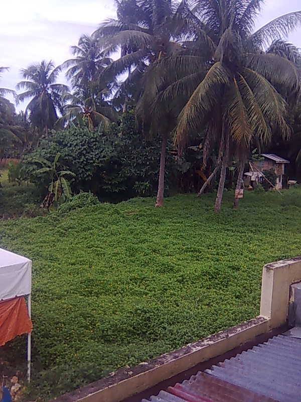 barili