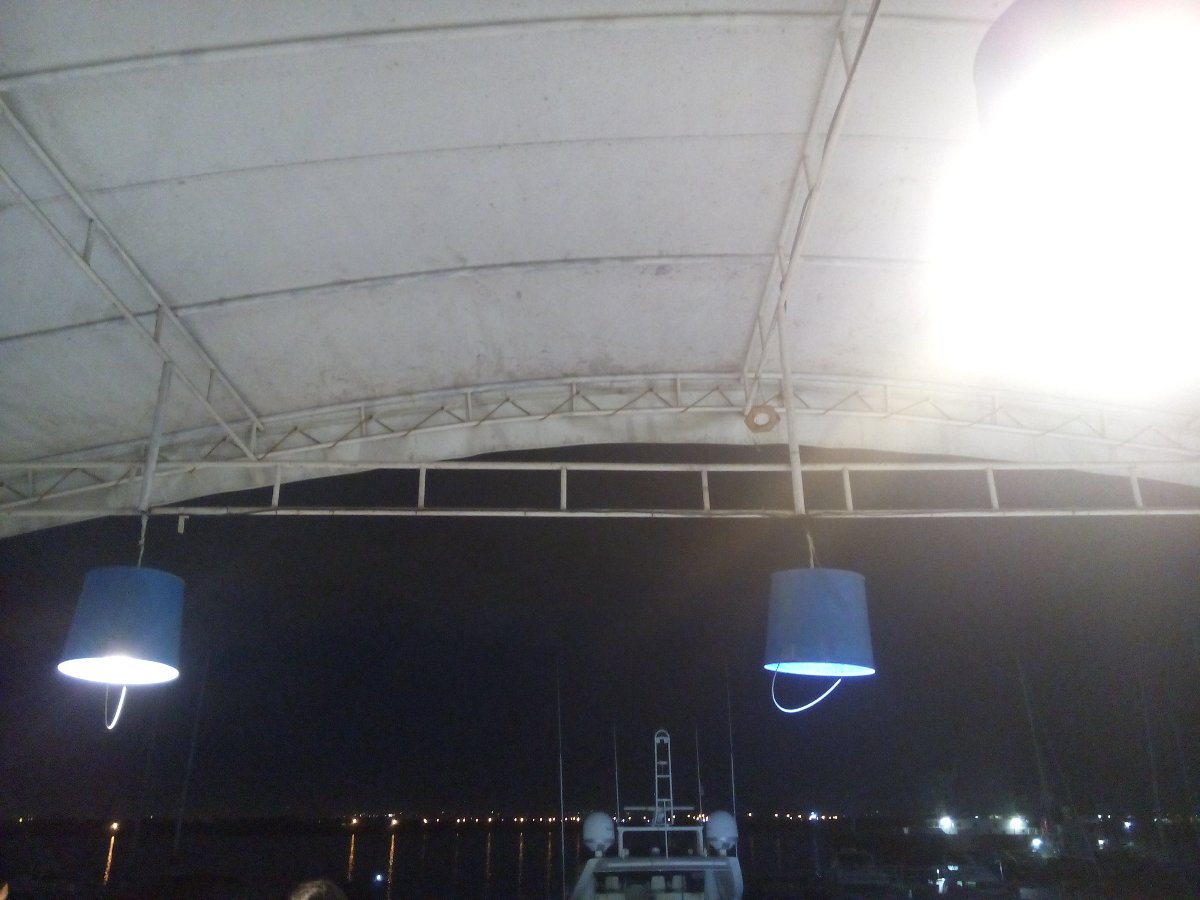 bucket shrimp with free yatch viewing
