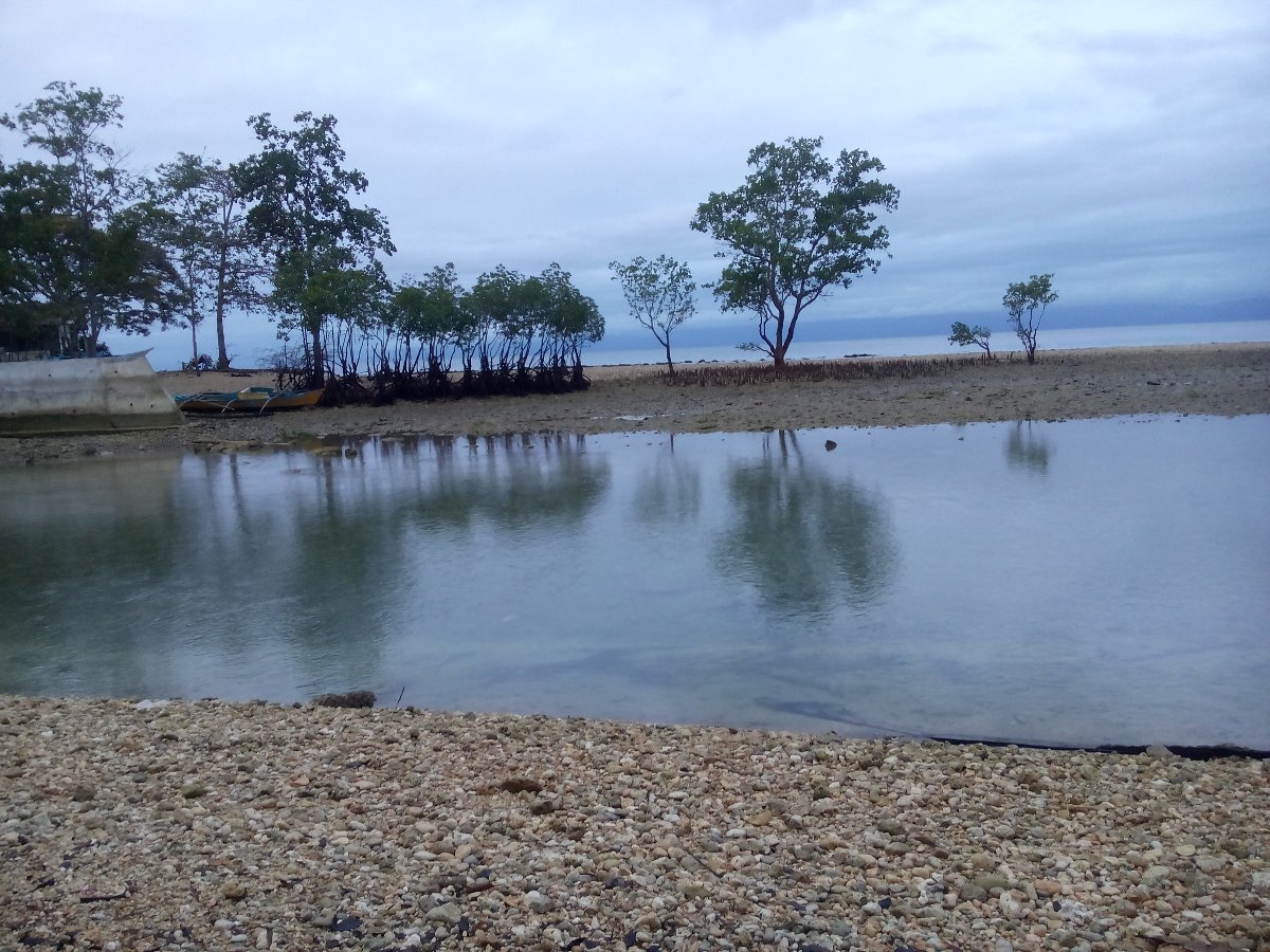 by the lake