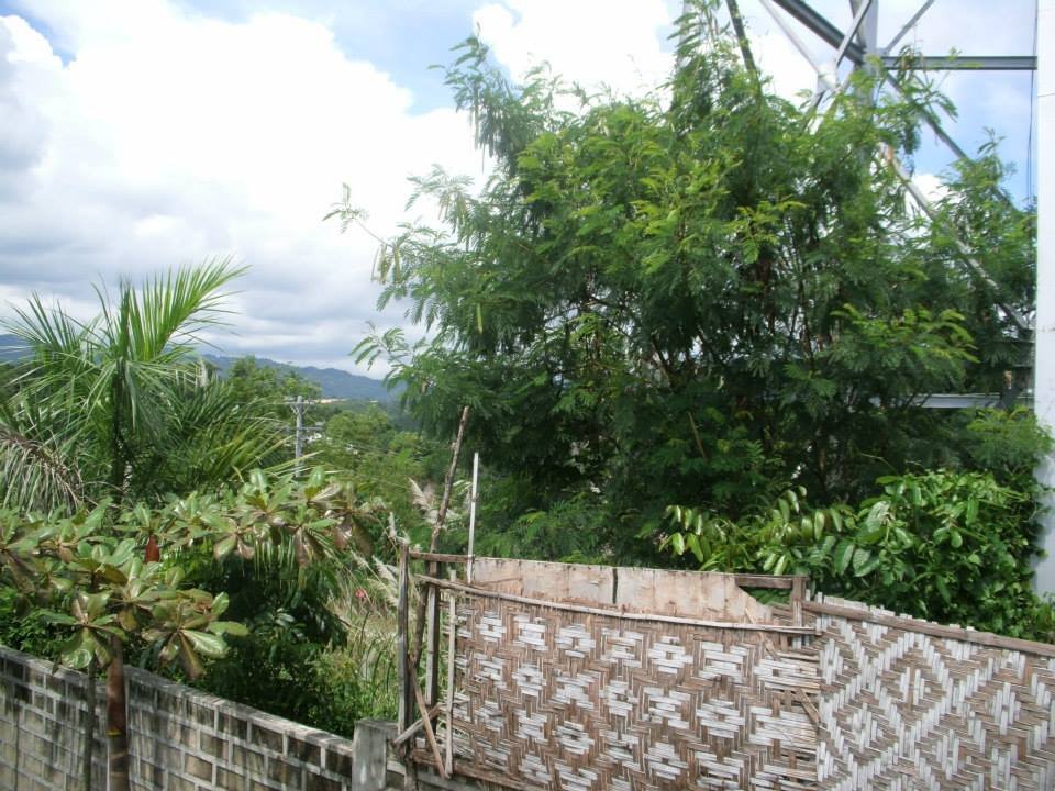 green green