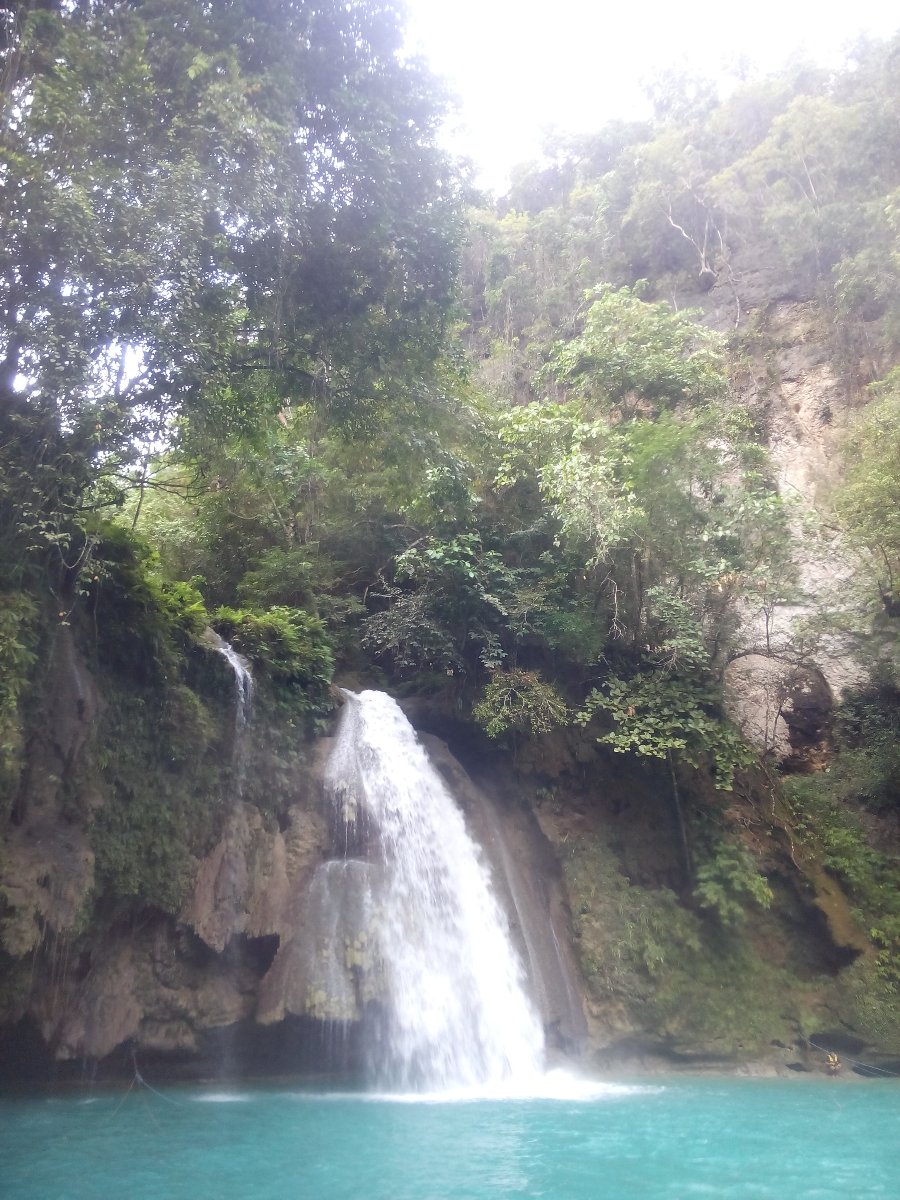 kawasan falls, badian