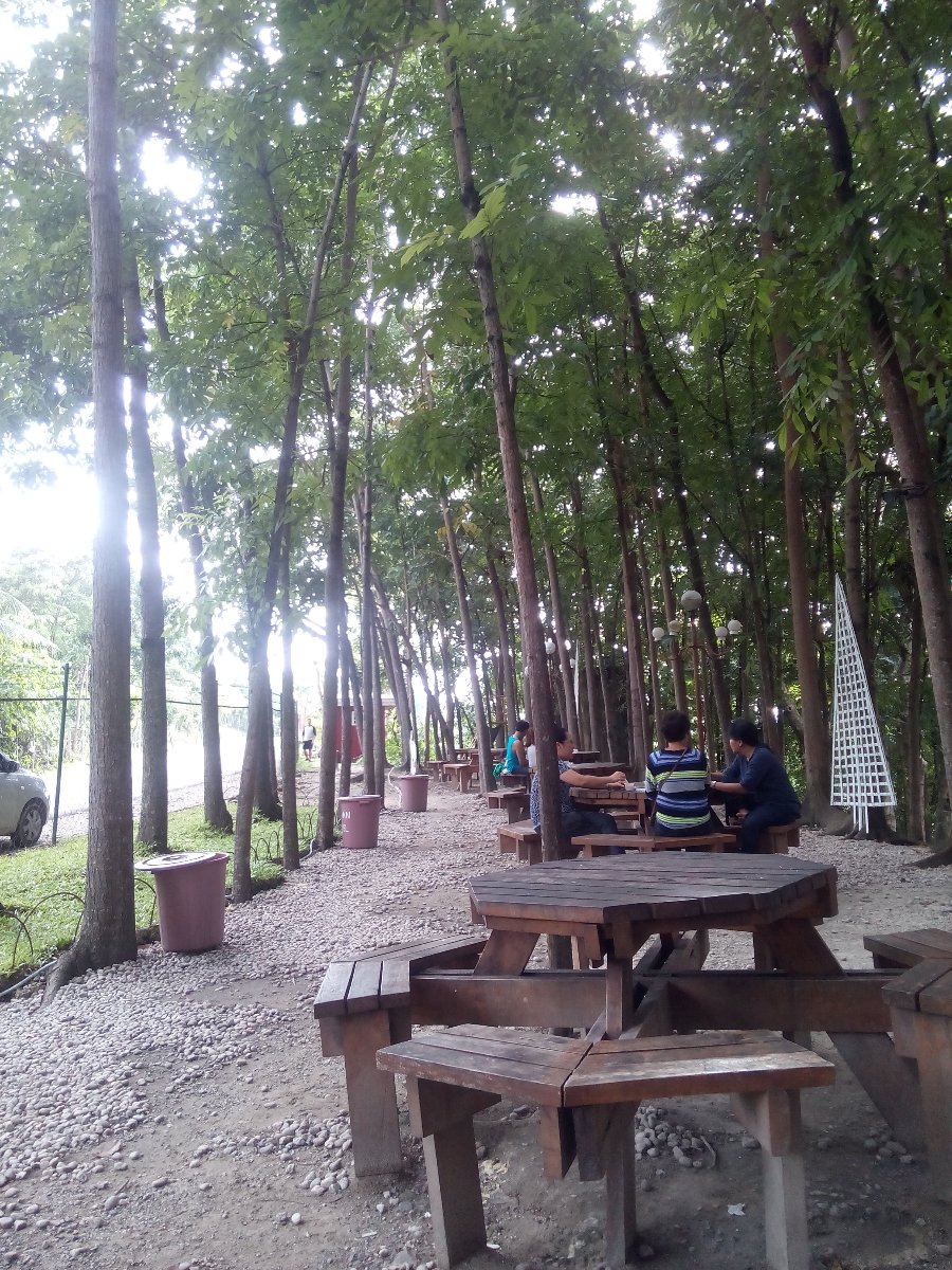 milk station, barili