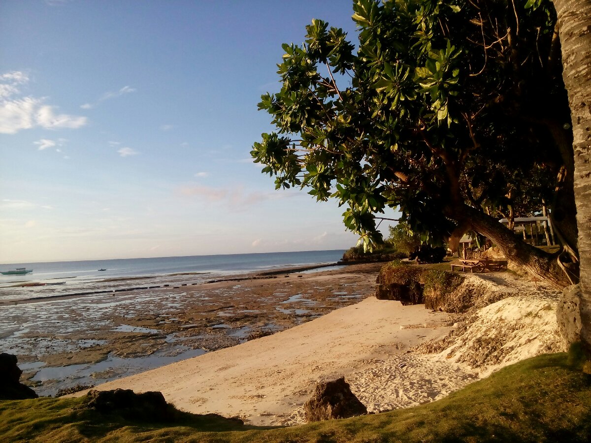 morning sunshine