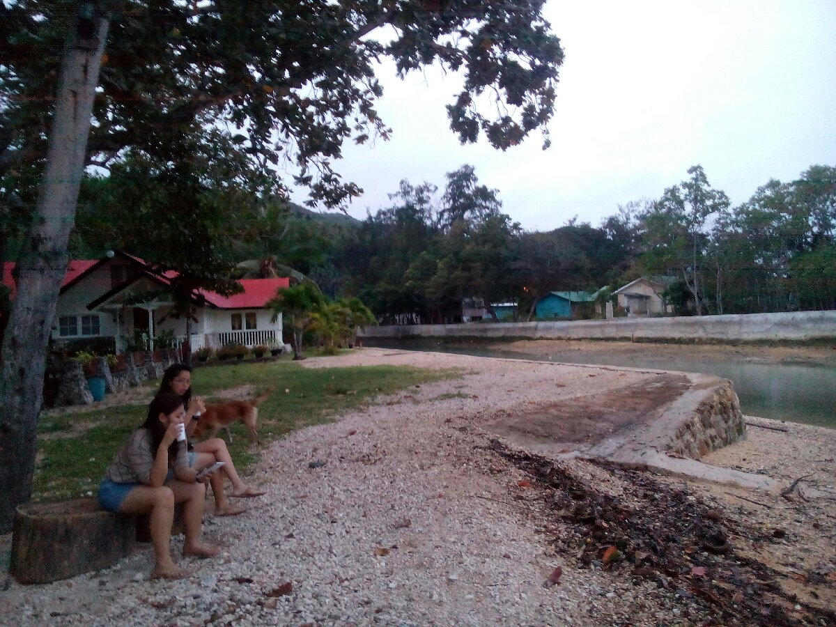 morning view