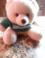 blue bear