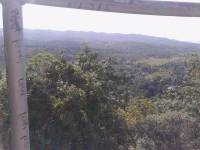nature, barili, green love
