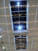 snake lights