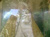 mama mary