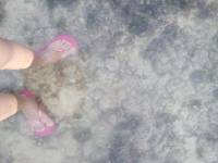 crystal clear water
