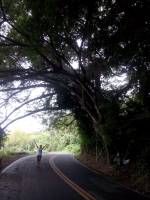 Road trip