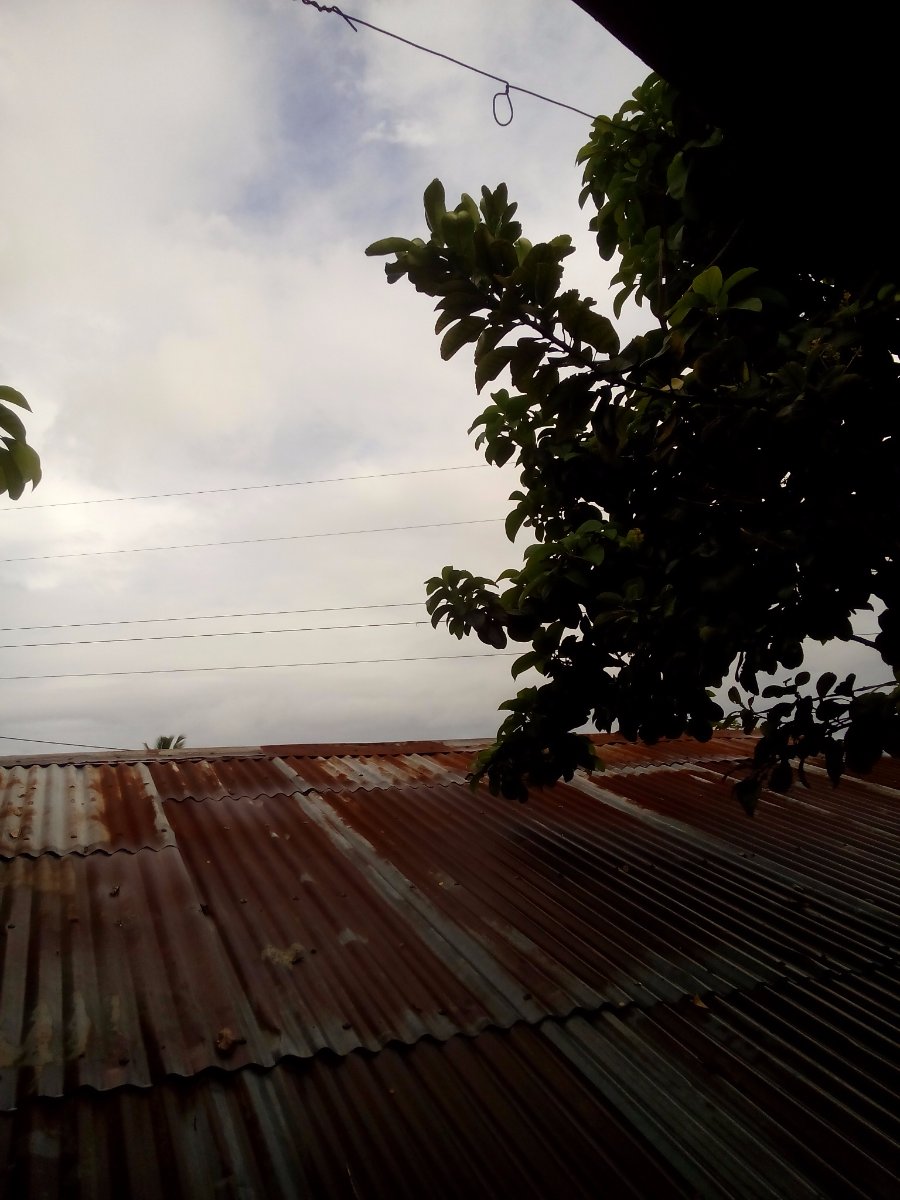 top of the roof but never the rooftop