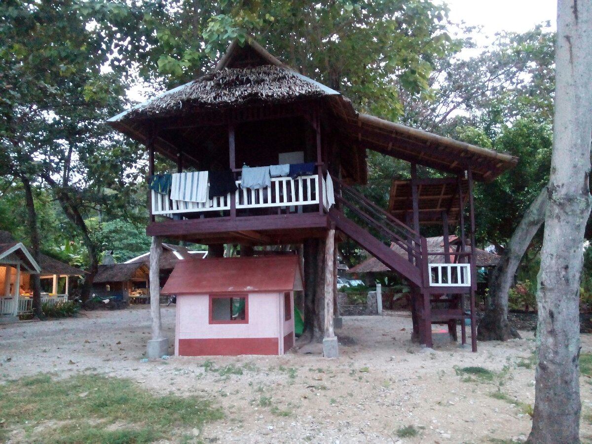 tree house