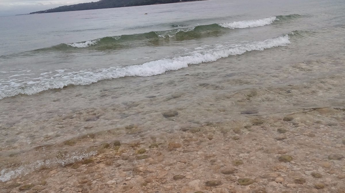 waves