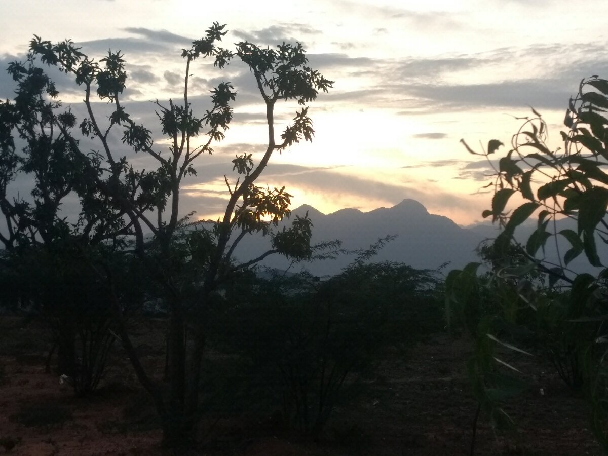 If you can look at the sunset and smile then you still have hope