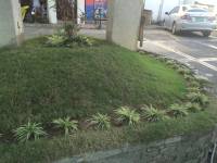#landscaping #cupsi #medical #cebu