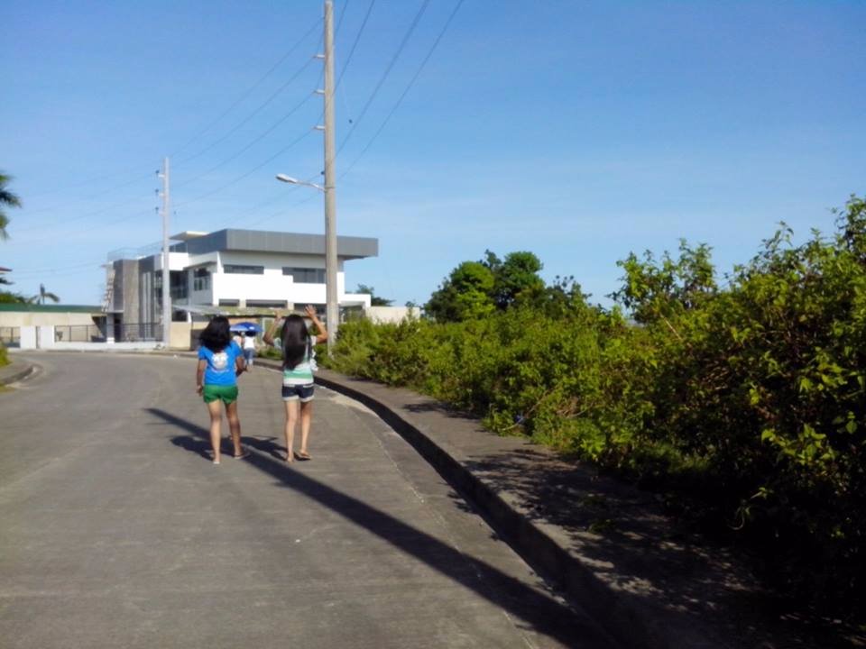 afternoon, strolls