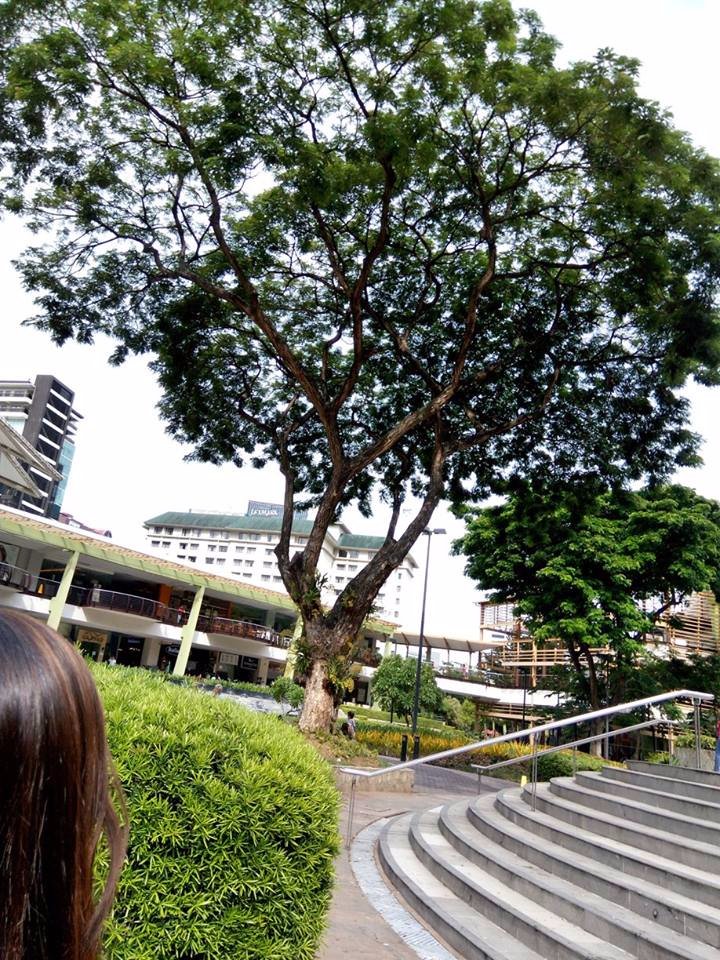 at, ayala, terraces, with, squad, girlsdayout