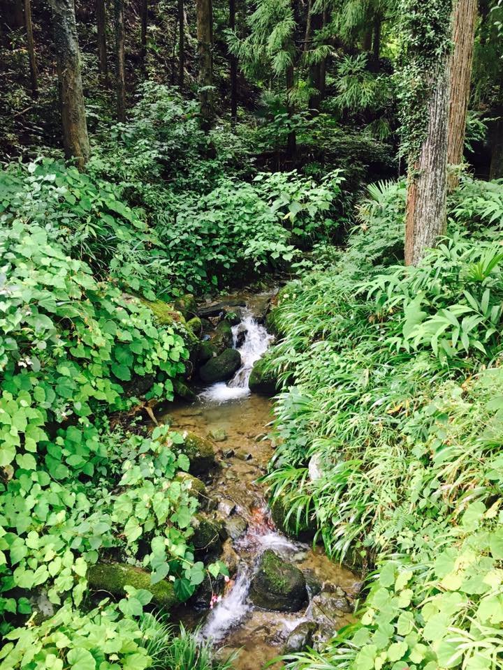 i, love, nature, gree, is, life