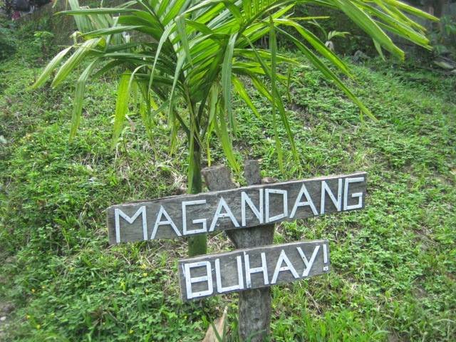 magandang, buhay, good, morning, green, is, life, love, nature, lover