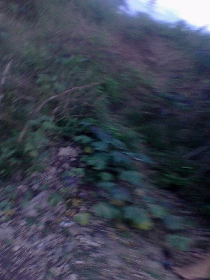 outside blurry
