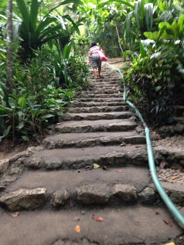 road, to, forever, let, me, follow, lol