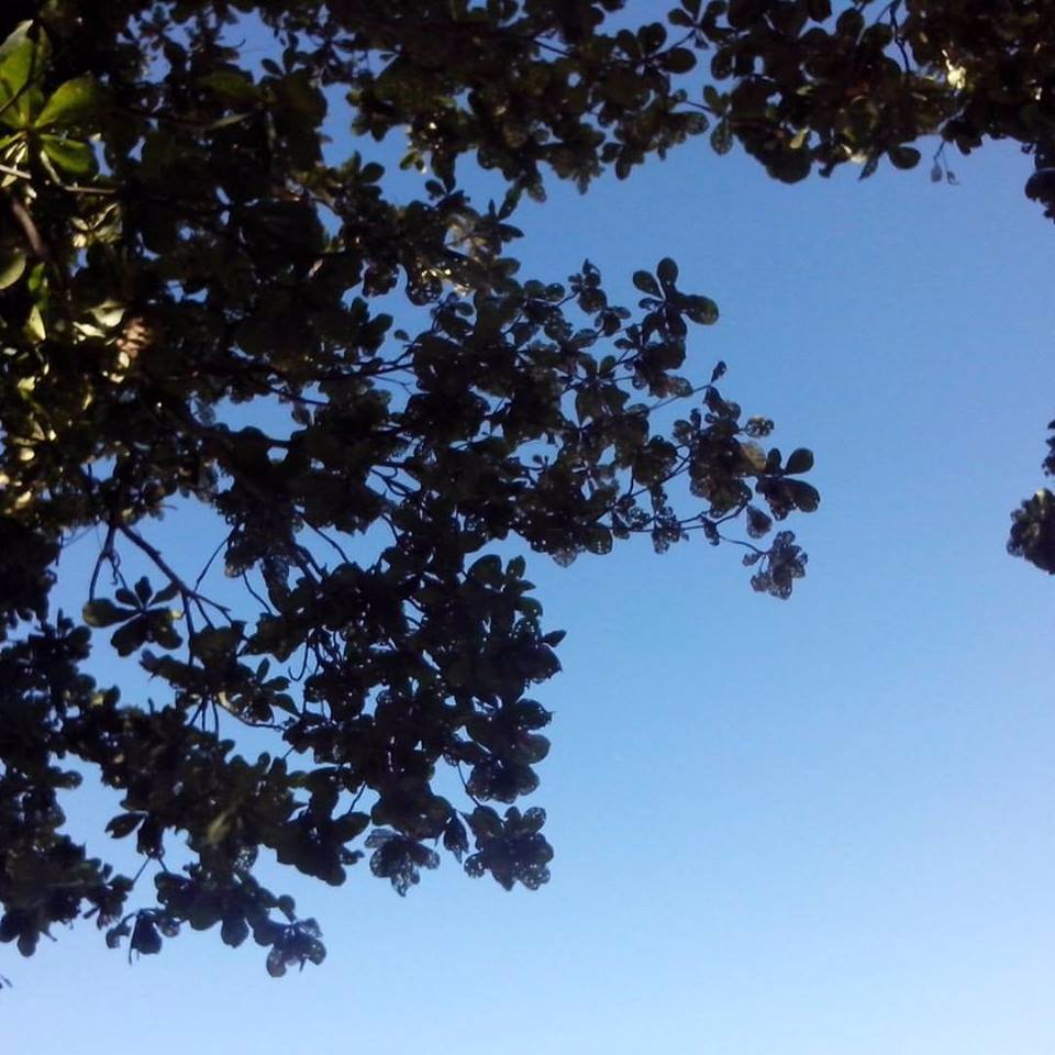 serene view fresh start new day new hope tahnkful blessed