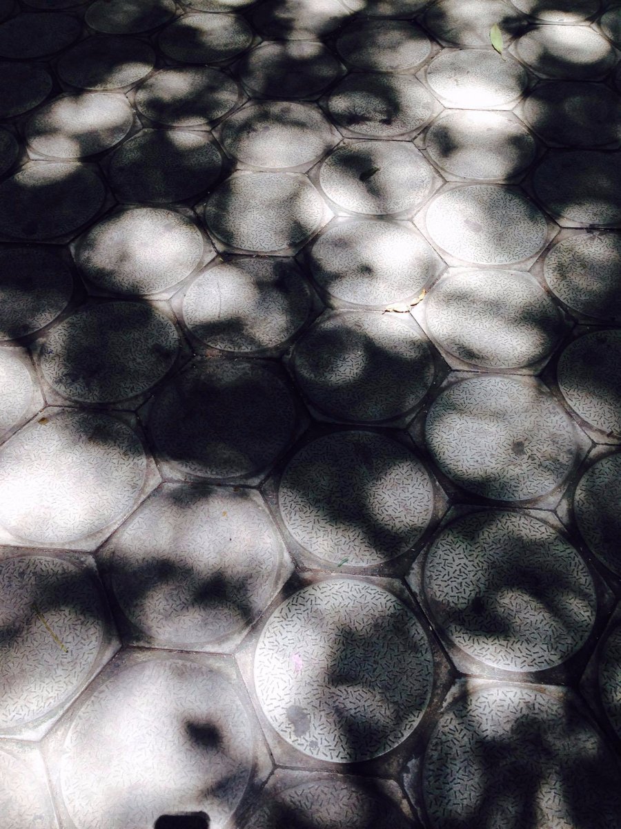 shadows on the floor