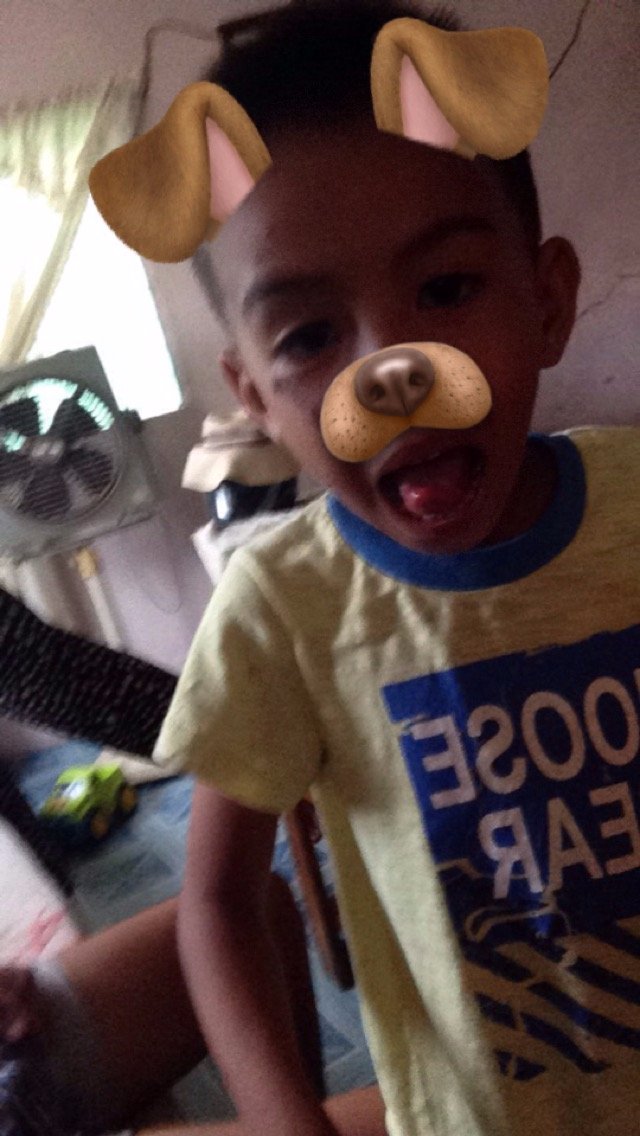 snapchat. dog filter. theo, bleeh