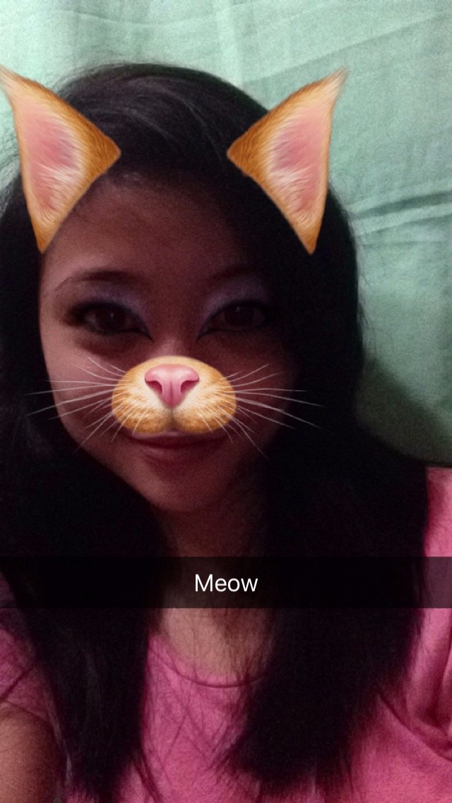 snapchat filter, meow, smilw