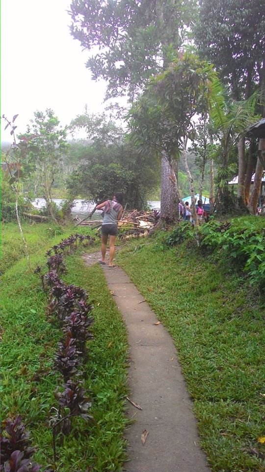 the road not taken jimma