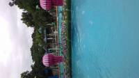 @ villa asela, swimming time