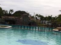 way, back, summer, swiiming, time, pool, time, with, family, loves, blessed, happy