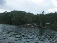 i, love, nature, gree, is, life